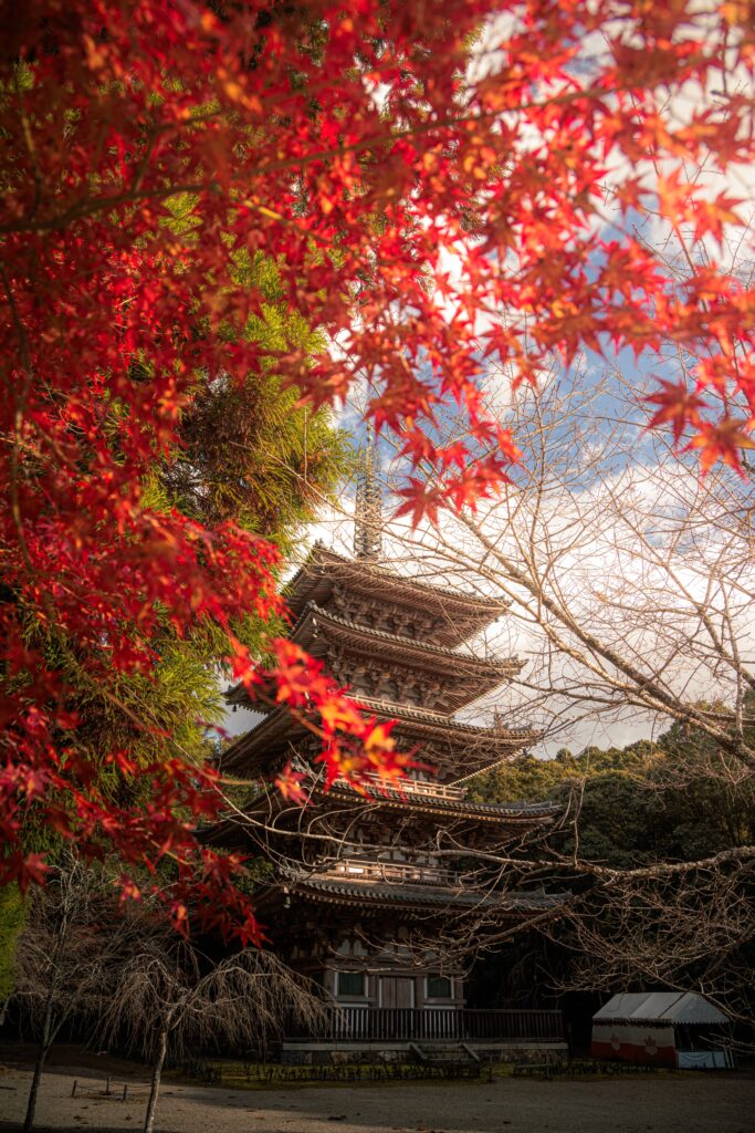 紅葉と寺社の写真